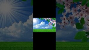 ОБЗОР ПОДКАСТ ОТВЕТЫ НА КАНАЛ ЖЕНЩИНА ПО ИМЕНИ РИММА