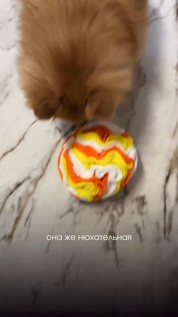 Это настоящий Dyson среди игрушек 🔥