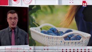 Сливовый хаб. Ярмарка возможностей. Новый деликатес. Экономика 03.04.2026