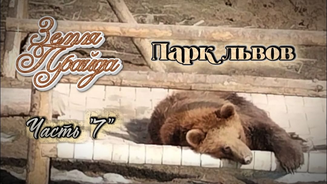 Зоопарк. #Земля_Прайда  Парк львов Часть"7"