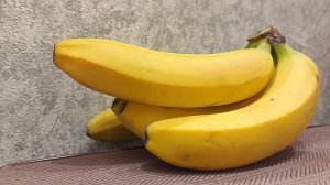 Новый инструмент в руках Донатьки.