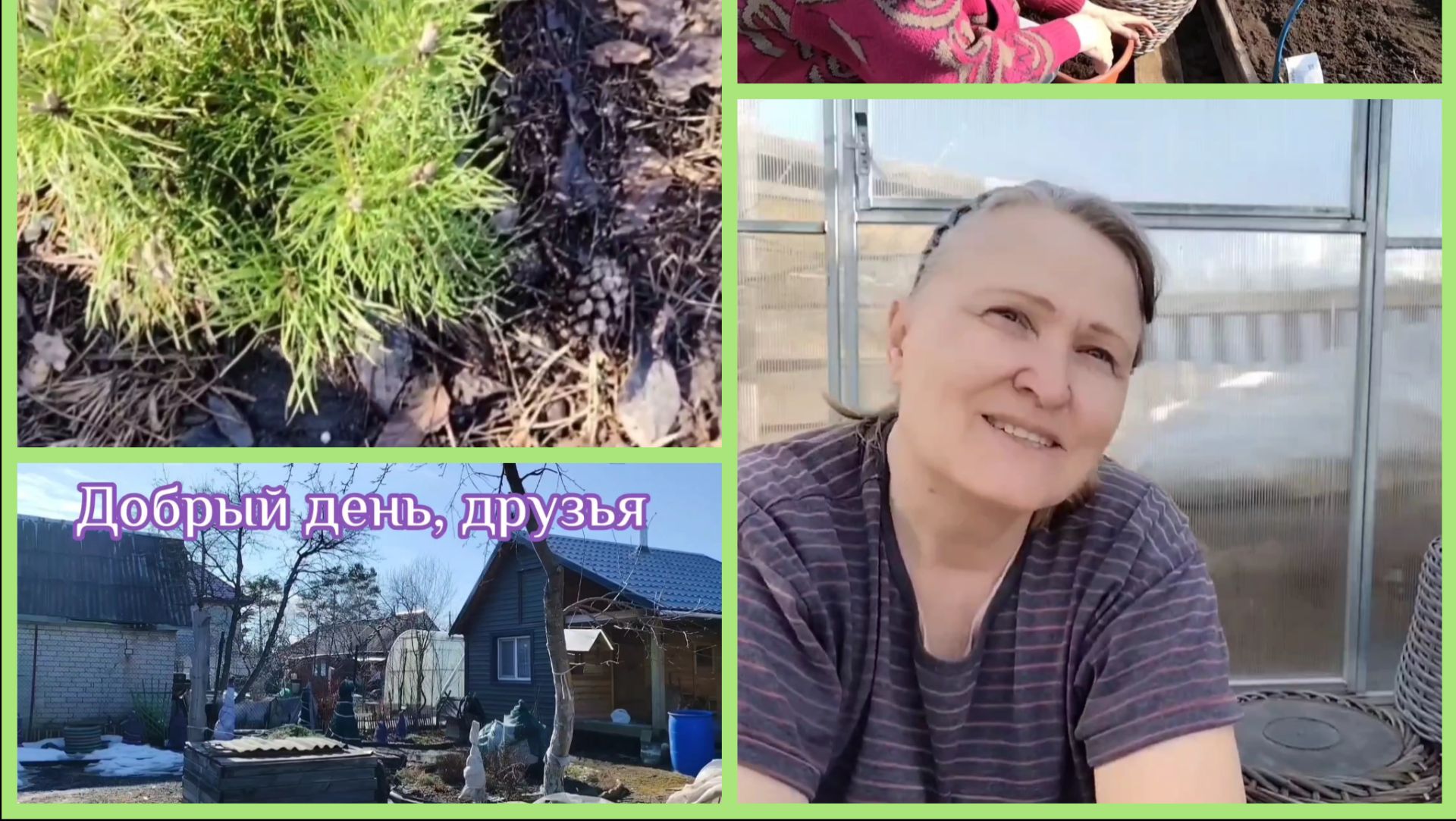 Солнечный день на даче. Сею зелень. Обзор растений после зимы.