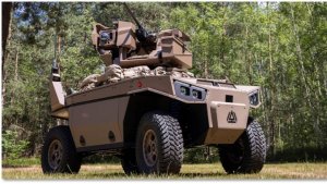 Снегоболотоход, вездеход, бездорожник и беспилотник.