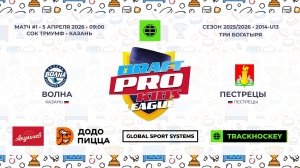 Волна — Пестрецы