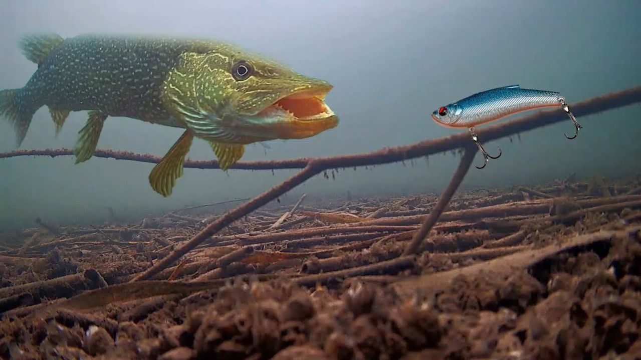 Нереально Крутая Зимняя Рыбалка Много Окуня и Щуки. Секретные Места. Крутая Русская Рыбалка 2026