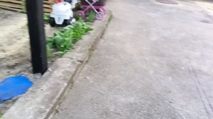 миНи ВлоГ ОбзоР на МоЮ улиЦу🙌💋