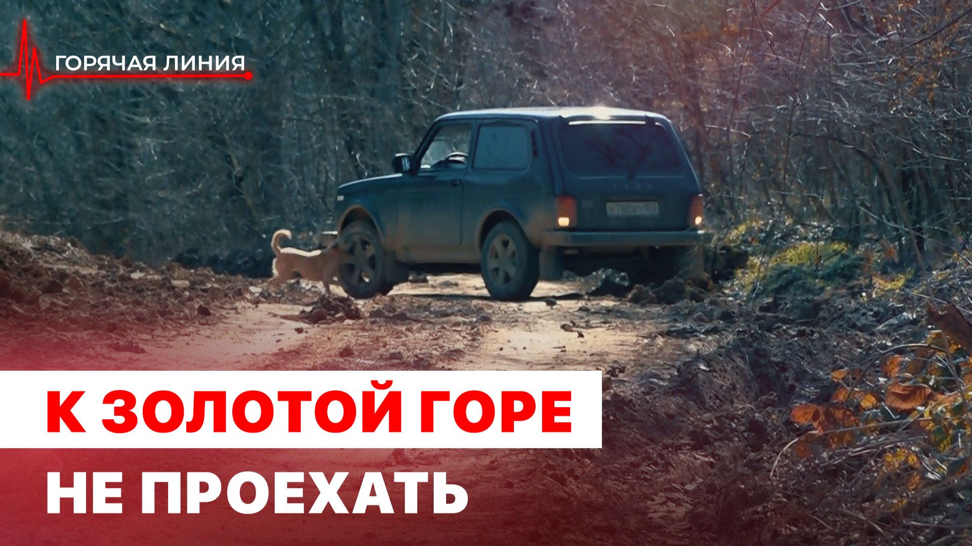 Плохая дорога к Золотой горе. ГОРЯЧАЯ ЛИНИЯ