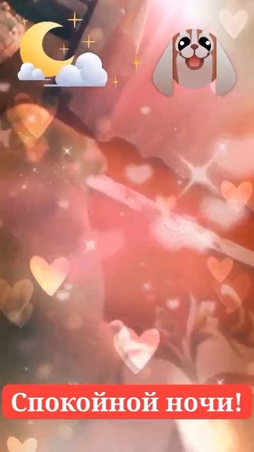 Спокойной ночи!
