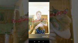 Google управление жизни