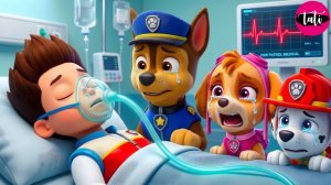 Щенячий патруль и Маршалл. Залипательное видео. Мультфильм для детей и малышей. Анимация 358