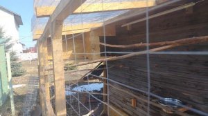 Ворон Гриша 3 апреля, с праздником