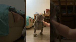 Студия танцев №2