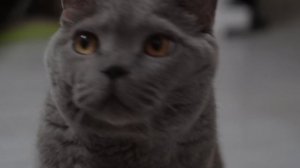 Не оставляйте включенными электроприборы_8