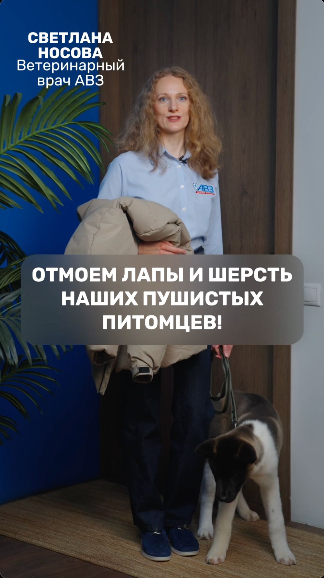Отмоем лапы и шерсть наших пушистых питомцев!