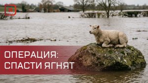 В Хасавюртовском районе идет спасательная операция из-за угрозы затопления овцетоварной фермы