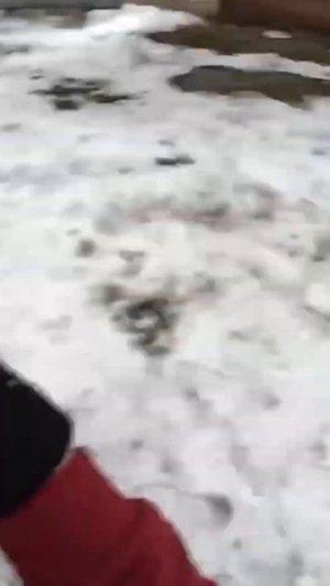 АЛКАШИ РАЗВОДЯТ НА ДЕНЬГИ