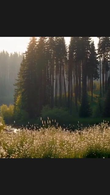 #пейзаж #выходные #экопейзаж #отдых #пейзажист #вдохновение