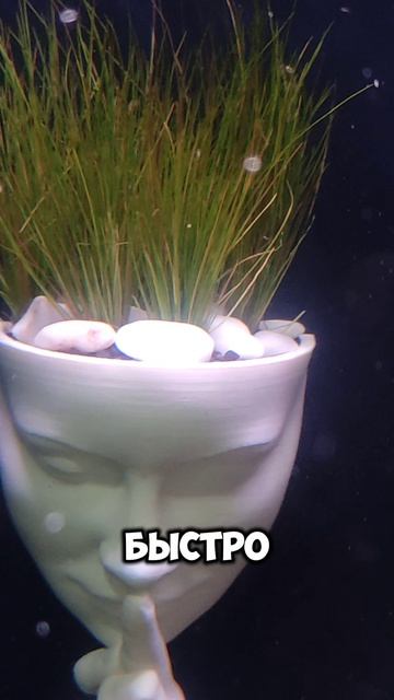 Декорация навесная  "Тихо!"