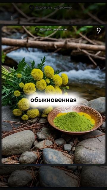 Бригада убийц опухолей | Роман Игошин