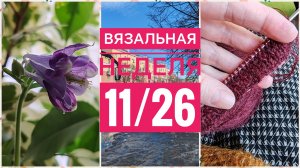 Вязальная неделя 11/26 начала новый проект