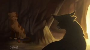 Animals|коты воители|русский дубляж (КОТЫ ВОИТЕЛИ ОЗВУЧКА ПЕРЕЗАЛИВ)