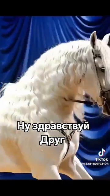 Ну здравствуй друг…