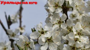 Юг.Станица.Ляпота.