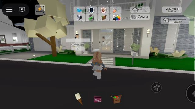 рб ник CORGITB1