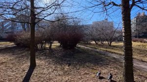 Польский парк 2026