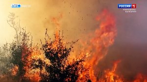 С начала года в КБР зафиксировали 57 случаев горения сухой травы