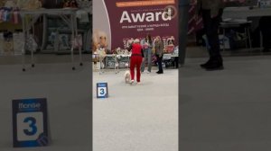 29.03.2026 г. Рейтинговая выставка + specialty, Новосибирск. Судья Sonia Kelveri-Philippou, Кипр