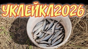 Рыбалка на поплавок