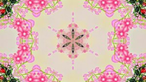 Весна! Очаровательные тюльпаны 9! Киностудия Мудрого Кота Тимофея!