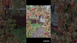 Листаю семейный альбом. 
1 год жизни. 
С февраля 2025 года по март 2026 года.