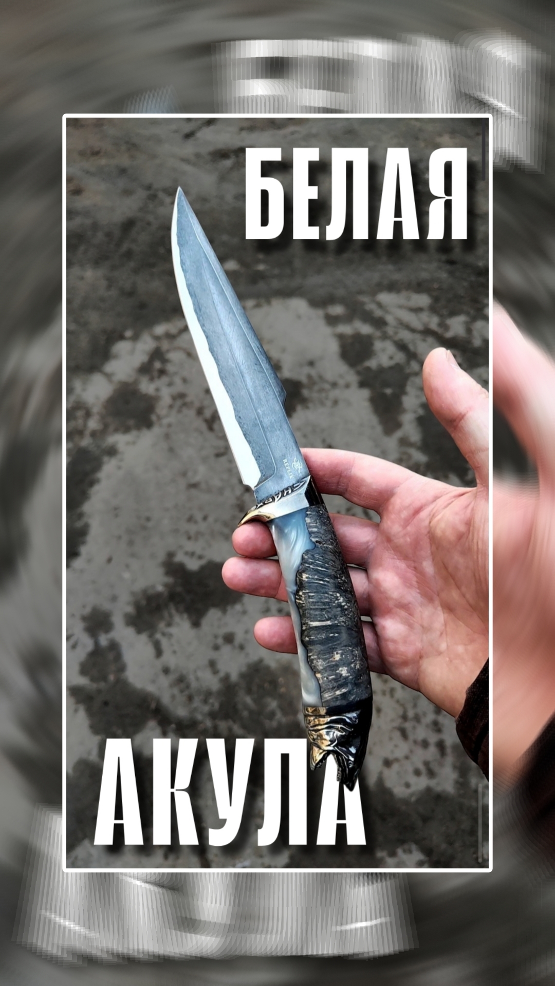 🦈 Нож БЕЛАЯ АКУЛА едет в Саратов!  Андрей пополнил свою коллекцию! Недавно брал КРОКОДИЛА ДАНДИ