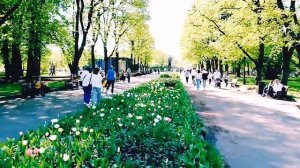 Прогулка по парку "Горького" в Москве.30.04.2024.