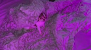 Всем наидобрейшего утречка и самого прекрасного дня.