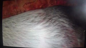 МОЛИТВА   💥 ДЛЯ НЮШИ     💥  ПОДПИШИСЬ