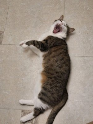 рисуем подарок для Даши💋