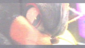 🖤Шедоу🖤 Клип под песню "ZxkAI - NO BATIDAO"