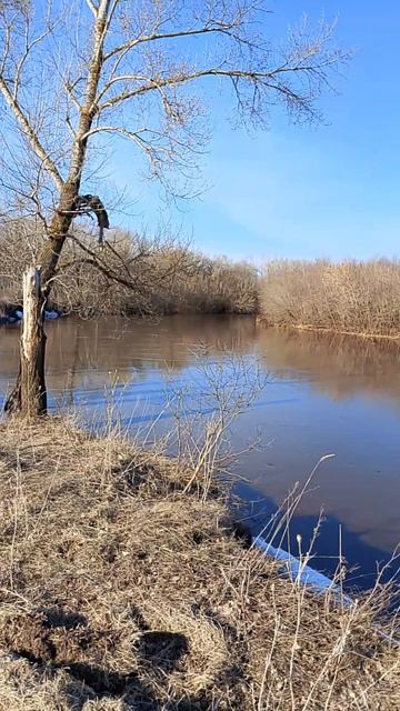 у нас пока каникулы