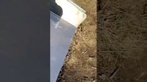 горка поедатель Алексеев 1 серия