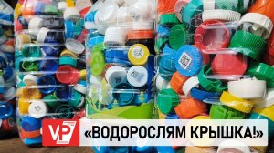 ВОЛГОГРАДСКАЯ ОБЛАСТЬ ПРИСОЕДИНИЛАСЬ К ЭКОПРОЕКТУ «ВОДОРОСЛЯМ КРЫШКА. АМБАССАДОРЫ РЕК»