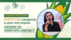 Кукуруза сахарная: и для поп-корна: сможем ли заместить импорт?