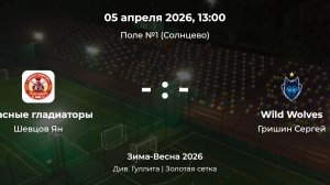 Дивизион им. Гуллита. Красные гладиаторы - Wild Wolves. Детская лига CityFootball