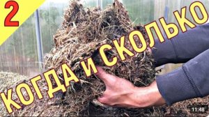 ГОРЯЧАЯ ТРАВА - РЕЗУЛЬТАТЫ!