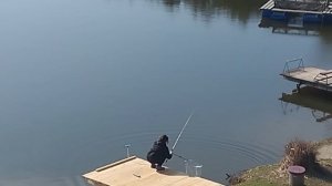 Проверка клёва