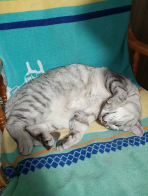 Стрим Рутуб 03.04.2026