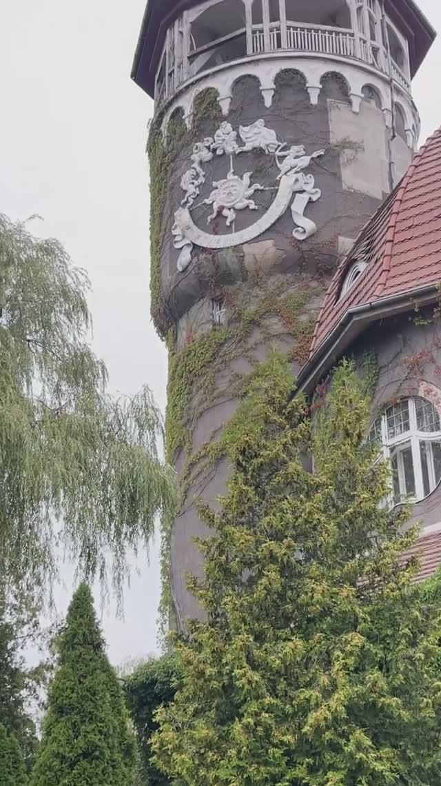 Светлогорск, путешествие с семьей