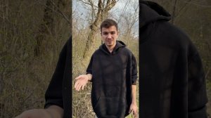 Им нужен хайп, а мне - чистая память